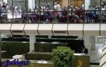 رشد کمشتاب بورس پایتخت کشور عزیزمان ایران